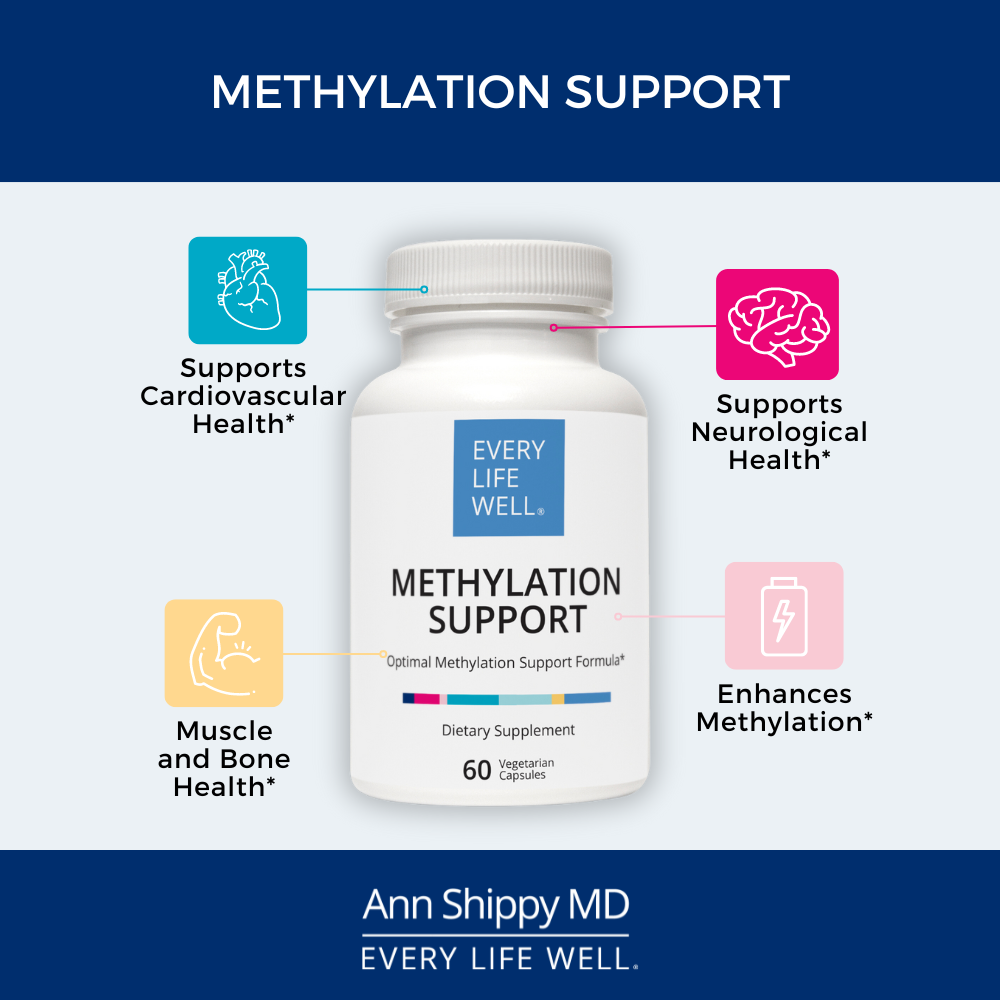 Methylation Support
